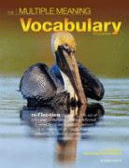 The Multiple Meaning Vocabulary Program 9781593184063