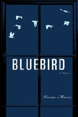 Bluebird 9781593762582