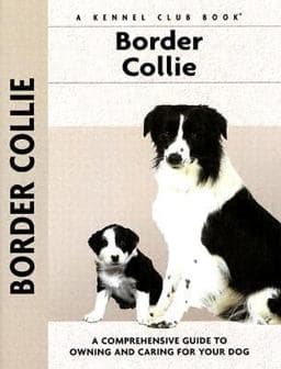 Border Collie 9781593782115