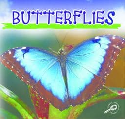 Butterflies 9781595154255
