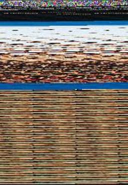 Fitting and Dispensing Hearing AIDS 9781597563475