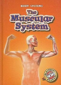 The Muscular System 9781600142444