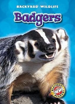 Badgers 9781600145957