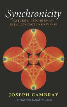 Synchronicity: Nature and Psyche in an Interconnected Universe 9781603443005