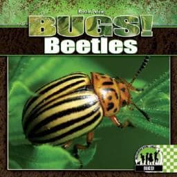 Beetles 9781604530636
