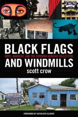 Black Flags and Windmills 9781604860771