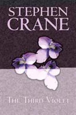 The Third Violet 9781606649688