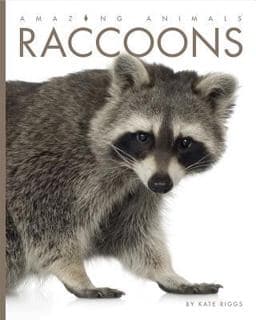Raccoons 9781608187577