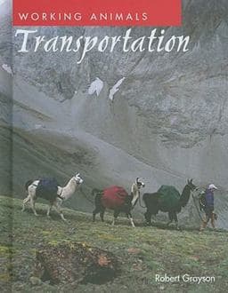 Transportation 9781608701674