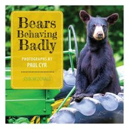 Bears Behaving Badly 9781608936038