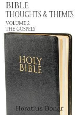 Bible Thoughts and Themes Volume 2 the Gospels 9781612038285
