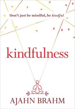 Kindfulness 9781614291992
