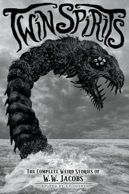 Twin Spirits 9781614982166