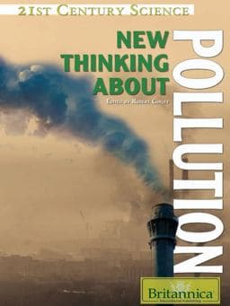 New Thinking about Pollution 9781615301713