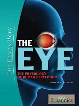 The Eye 9781615302550