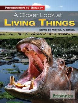 A Closer Look at Living Things 9781615305834