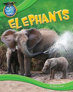 Elephants 9781615333776