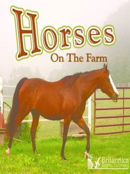 On the Farm 9781615359011