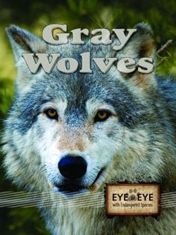 Gray Wolves 9781615905119