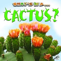 Cactus 9781615905218