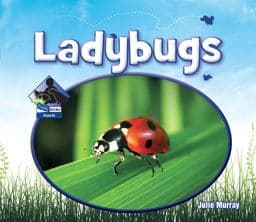 Ladybugs 9781616134877