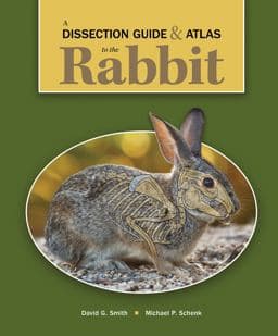A Dissection Guide and Atlas to the Rabbit 9781617319372