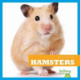 Hamsters 9781620311240