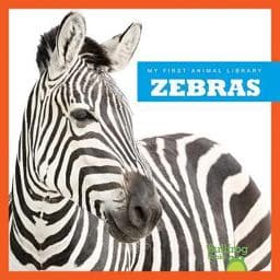 Zebras 9781620311714