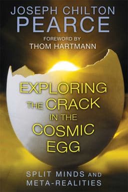 Exploring the Crack in the Cosmic Egg 9781620552544