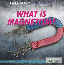 What Is Magnetism? 9781622754977
