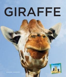 Giraffe 9781624030581