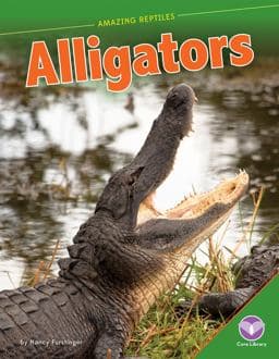 Alligators 9781624033681