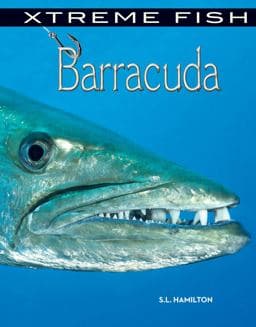 Barracuda 9781624034466