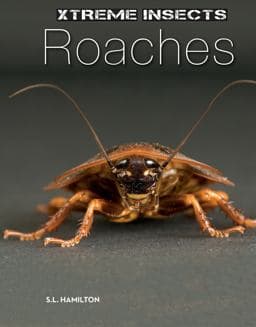 Roaches 9781624036910