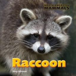 Raccoon 9781625880369