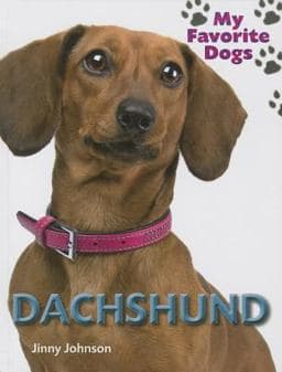 Dachshund 9781625881731