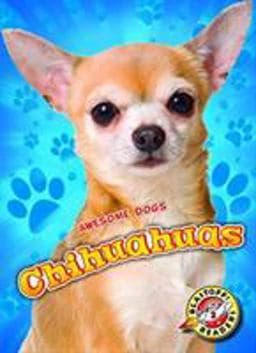 Chihuahuas 9781626173057