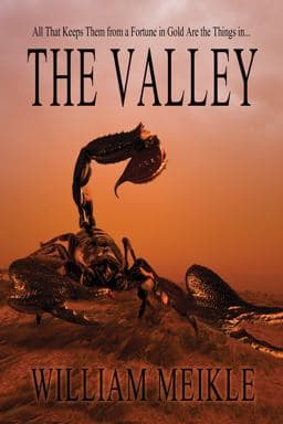 The Valley 9781626412033