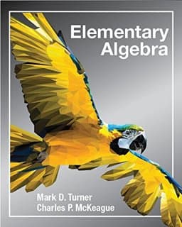 Elementary Algebra (paperback) 9781630983246