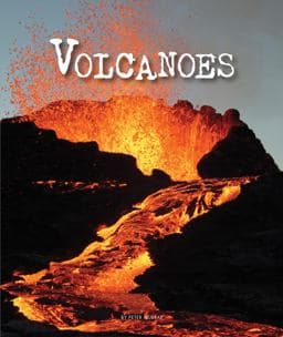 Volcanoes 9781631437694