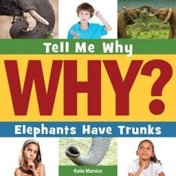 Elephants Have Trunks 9781631880025