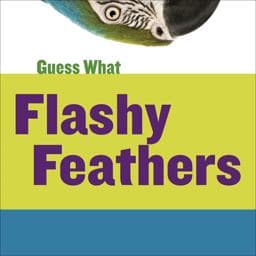 Flashy Feathers 9781633626263