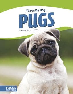 Pugs 9781635176155