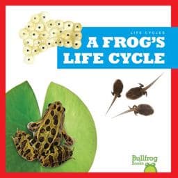 A Frog's Life Cycle 9781636908359