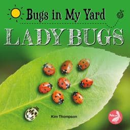 Ladybugs 9781638974277