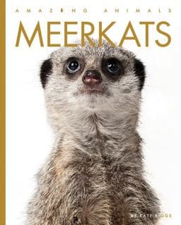 Meerkats 9781640265707