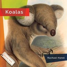 Koalas 9781640266032