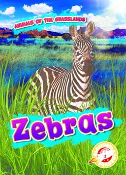 Zebras 9781644870594