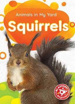 Squirrels 9781644873113