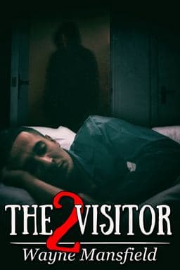 The Visitor 2 9781646567805